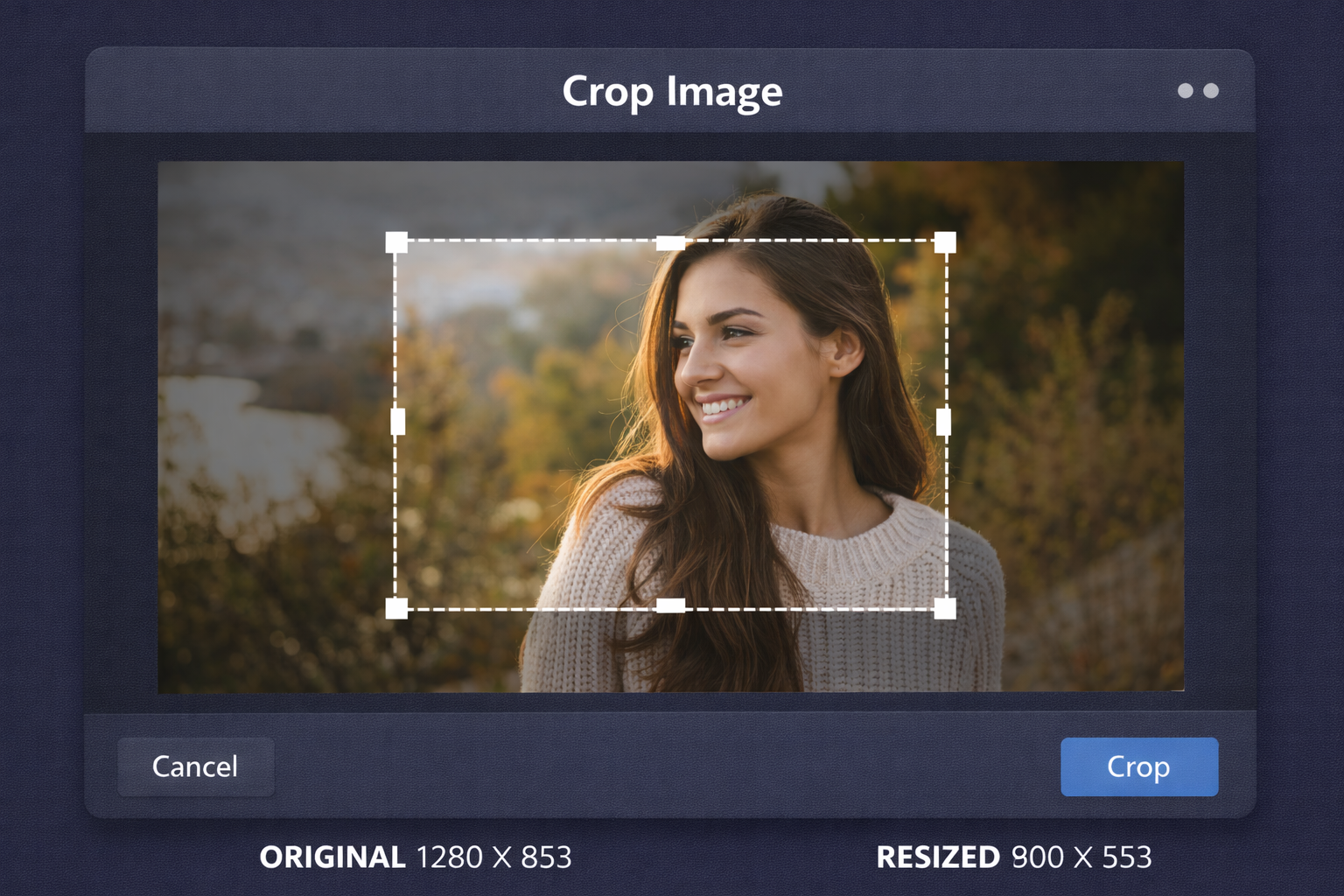 Image Cropper tool